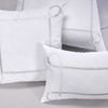 COJIN-BORDADO-ALG-200H-45X45CM-AZAD-GRIS-CLARO-BR