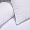 SET-2-PROTECTOR-ALMOHADA-ANTIBACTERIAL-50-90