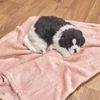 COBIJA-MASCOTAS-FLANNEL-EMBOZADA-70-90-HUESITOS-ROSA-PLATA
