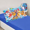 SET-2-FUNDONES-PANEL-50-70-PAW-PATROL-FRIENDSHIP