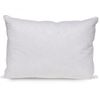 ALMOHADA-300H--PLUMAS-PATO-85-15-50X70--BLANCO