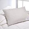 ALMOHADA-233H--CAMARA-INTERNA-GANSO-50X70--GRIS