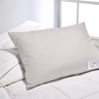 ALMOHADA-233H--CAMARA-INTERNA-GANSO-50X70--GRIS