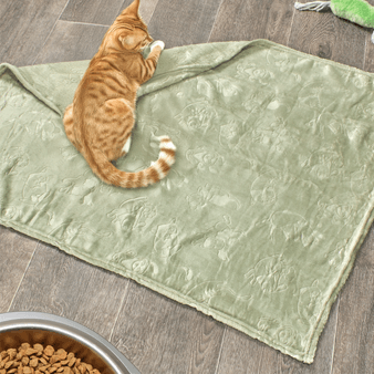 COBIJA-FLANNEL-EMB-UNI-70x90-PLAY-VERDE-SAGE