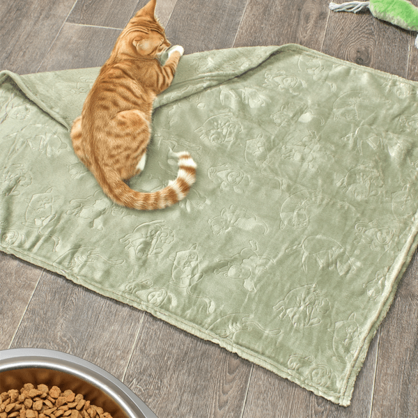 COBIJA-FLANNEL-EMB-UNI-70x90-PLAY-VERDE-SAGE