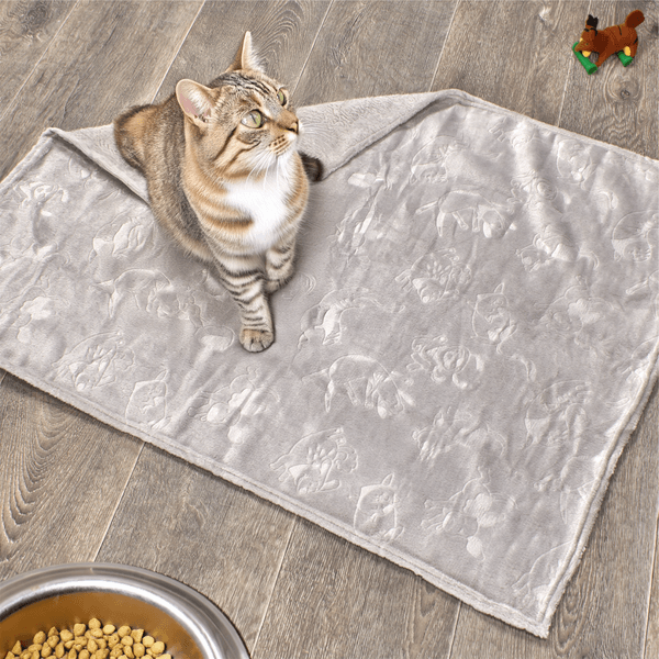 COBIJA-FLANNEL-EMB-UNI-70x90-PLAY-GRIS-NIEVE