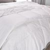 PLUMON-233H--PLUMAS-PATO-95-5-DOBLE-BLANCO