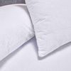 PQT-PROTECTOR-COLCHONALMOHADA-ANTIBACTERIAL-EXTRA-DOBLE_2_11zon
